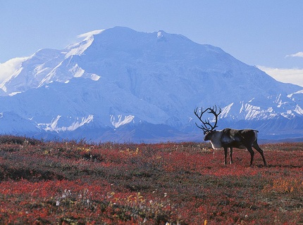 Mount McKinley — the highest peak in Alaska