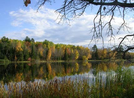 Mississippi River Landscape