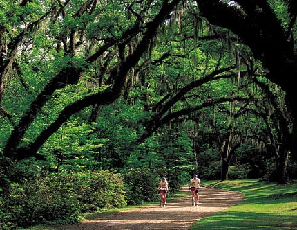 South Carolina is dominated by agriculture, with attractive plantations and oak trees.