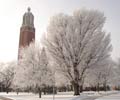 South Dakota University during Winter