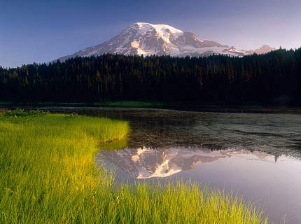 Mt. Rainier National Park, Washington
