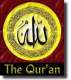 Omneya H. in Watervliet, NY 12189 tutors Memorizing Quraan