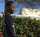 tutoring job sent to tutor tutoring job sent to tutor Geffre Jean F.