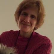 Elynn's picture - English and ESL Tutor: 25 Years of Experience tutor in Brookline MA