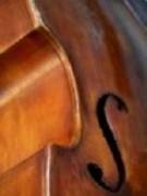 Stan's picture - Conservatory-Level Violin Instruction at Affordable Rates tutor in Auburndale MA