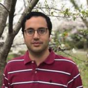 Seyed's picture - Math Tutor:  Pre-Algebra to Calculus tutor in Chevy Chase MD