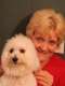 Lauri Anne H. in Tyler, TX 75701 tutors Teacher of math, reading, phonics, spelling, English grammar