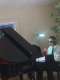 Stephen N. in Clarkdale, AZ 86324 tutors Alfred's Adult Piano Course Book 1 Teacher:
