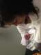 Jayme T. in Alton, IL 62002 tutors Literacy tutor certified.  Have worked with all ages and genders.