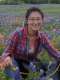 Lin L. in Brighton, CO 80602 tutors Expert Math, Chemistry and Physics Tutor