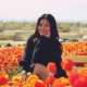 Arielle C. in Chino Hills, CA 91709 tutors Experienced Tutor in Lesson Review, Test Prep, and Homework Help.