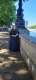 Allison W. in Wichita, KS 67203 tutors Professional High School Tutor, Casual College Tutor