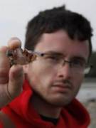 Julian's picture - I am a tutor of 3-Dimensional Design and Animation in Maya tutor in South Deerfield MA