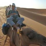 Steve's picture - Science can be fun and understood! tutor in Millville CA