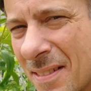 John's picture - Patient / Knowledgeable Tutor for History, English, and Writing tutor in Somerset MA