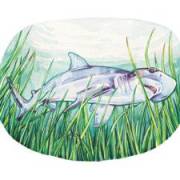 Elizabeth's picture - Dedicated and Patient Science, Math, and Spanish Tutor tutor in Leesburg FL