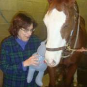 Sharon's picture - Love to teach and learn tutor in Coatesville PA