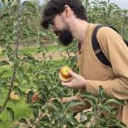 Nole's picture - Experienced CS Tutor | Algorithms, Coding, Debugging tutor in Tomball TX