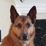 Silas's picture - Experienced Professional Tutor, Coach and Staff Trainer tutor in Rydal GA