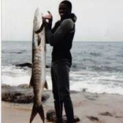 Mohamed's picture - Accounting, Finance, Economics , Stats, Exec. MBA, CPA (FAR, BAR), CFA tutor in Tustin CA