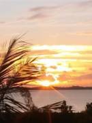 Kim's picture - Patient Global Tutor > Business | Marketing | Writing | Math | Web Des tutor in Alexandria VA