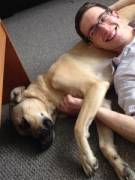 Eli's picture - Physics, Algebra, Geometry, Trigonometry, and Calculus tutoring tutor in Milwaukee WI