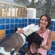 Beverly's picture - English Specialist (Analysis, Essays, Grammar, Proofreading) tutor in Malibu CA