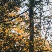 Nora's picture - Experienced Quran and Arabic tutor. tutor in Kissimmee FL