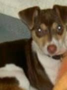 Frederick's picture - Published, Professional, Creative Writer tutor in Palmyra PA