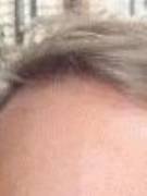 Francisco's picture - Basic and Business Portuguese tutor in Winter Park FL