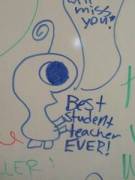 Caroline's picture - History Hero... well at least a helper. tutor in Clewiston FL