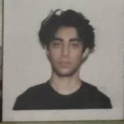 Mehrad's picture - Effective STEM Tutor Specializing in Statistics, Math, and Physics tutor in Utica MI