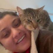 Amna's picture - Experienced tutor in several subjects! tutor in Washington DC