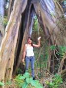 Natalie's picture - Understanding Science tutor in Toano VA