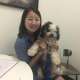 Yuanmin O. in Berkeley, CA 94704 tutors UCB Graduate;Tutoring Math/Statistics(R)/Tests Prep/General Chemistry