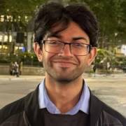 Vik's picture - Math & Physics Tutor for High School & College tutor in New York NY