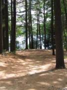 Patrick's picture - Psychology Tutoring with Pat tutor in Helena MT