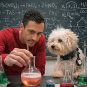 Corban's picture - AP Chemistry Tutor and Former Teacher (Gen Chem, High School chem) tutor in Elkhart IN