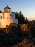 Tammy's picture - Increase Your Reading Test Scores! tutor in Memphis TN