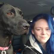 Meghan's picture - Perfect Scorer in SAT & SAT with Extensive Online Experience tutor in Huntsville AL