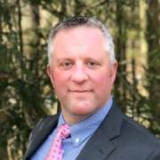 David's picture - Geography and History Tutor with Real-World Experience tutor in Stamford CT